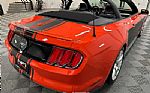 2015 Mustang Thumbnail 14