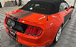 2015 Mustang Thumbnail 15