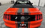 2015 Mustang Thumbnail 16