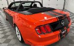 2015 Mustang Thumbnail 18