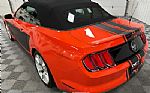 2015 Mustang Thumbnail 19
