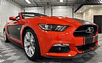 2015 Mustang Thumbnail 24