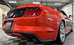 2015 Mustang Thumbnail 28