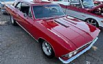 1966 Chevelle Thumbnail 3