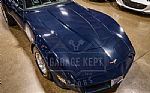 1981 Corvette Thumbnail 14