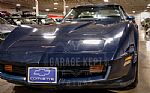 1981 Corvette Thumbnail 19