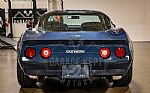 1981 Corvette Thumbnail 43