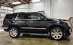 2019 Escalade Thumbnail 2