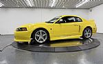 2001 Mustang Thumbnail 5