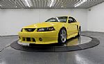 2001 Mustang Thumbnail 18