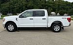 2021 F-150 Thumbnail 8