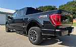 2023 F-150 Thumbnail 7