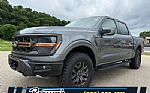 2025 F-150 Thumbnail 1