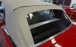 1965 Mustang Thumbnail 96