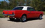 1966 Mustang Thumbnail 82
