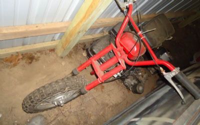 Photo of a 1970 Rupp 2 Minni Bikes 70S for sale