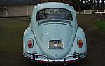 1966 Beetle Thumbnail 2