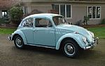 1966 Beetle Thumbnail 4