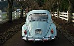 1966 Beetle Thumbnail 7