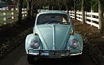 1966 Beetle Thumbnail 21