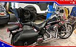 2003 Harley-Davidson 100th Anniversary Softail