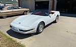 1991 Corvette Thumbnail 10