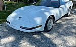 1991 Corvette Thumbnail 29
