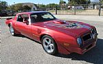 1976 Trans Am Thumbnail 22