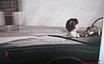 1955 Corvette Thumbnail 118