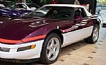 1995 Corvette Pace Car Edition - On Thumbnail 29