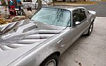 1979 Trans Am Thumbnail 9