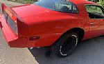 1979 Trans Am Thumbnail 8