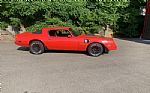 1979 Trans Am Thumbnail 10