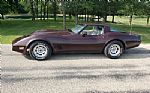 1981 Corvette Thumbnail 8