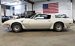 1981 Trans Am Firebird Thumbnail 2