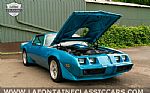 1979 Firebird Thumbnail 108