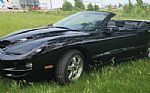 2001 Trans Am Thumbnail 1