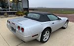 1996 Corvette Thumbnail 6