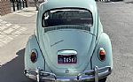 1967 Beetle Thumbnail 4