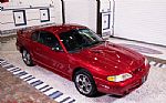 1996 Mustang SVT COBRA Thumbnail 10