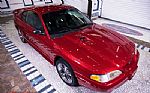 1996 Mustang SVT COBRA Thumbnail 11