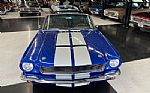 1966 Mustang Shelby Tribute Thumbnail 2