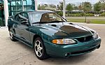 1997 Mustang SVT Cobra Thumbnail 12