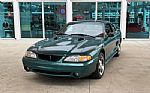 1997 Mustang SVT Cobra Thumbnail 14