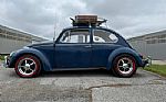 1967 Beetle Thumbnail 4