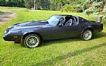 1981 Firebird Thumbnail 1