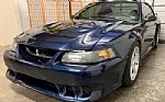 2001 Mustang SVT Cobra Thumbnail 5