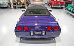 1998 Corvette Pace Car Edition Thumbnail 17
