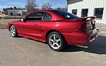 1996 Mustang Cobra Thumbnail 7