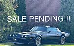 1979 Trans Am Thumbnail 2